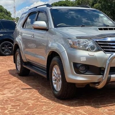 TreeTips2's profile picture. 