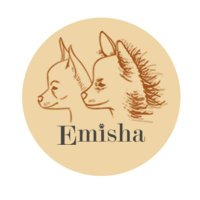Emisha Wellness (@emishawellness) 's Twitter Profile