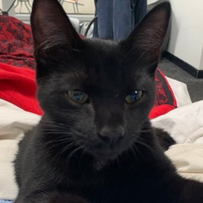 Lecturer in STEM. Environmental scientist. Feminist. cats. @OpenUni