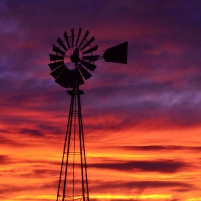 Retired Ag Retailer, Farmer, Pilot.