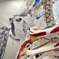 @UoWPhysio (@uowinphysio) 's Twitter Profile