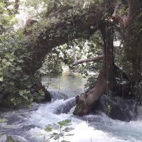 emir akdağ (@07emir3232) 's Twitter Profile