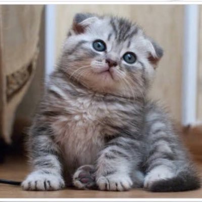 sinn45810808's profile picture. ไม่ทำอะไร