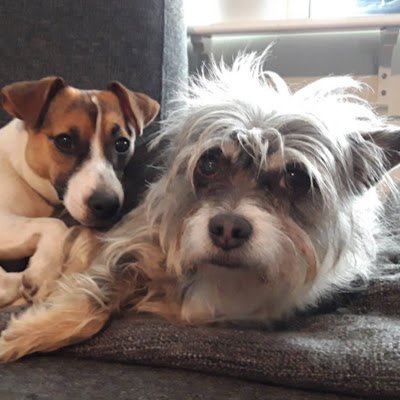 HAMHAM0833's profile picture. Jag är bäst på allting