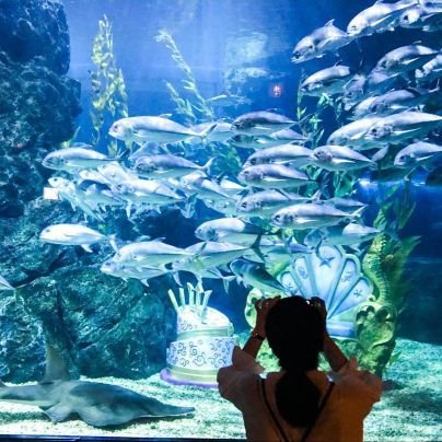 sunnydream_Gg's profile picture. 