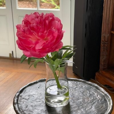 amygeeee's profile picture. Learner, lover.