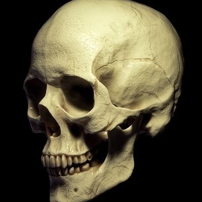 Crafter/hobby hopper & crochet fetishist. Follower of The Order Of The Good Death. She/her.
I am the lefty your mother warned you about.
26+6=1
Maximalist.