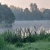 Dearne Valley Country Park Group (@DearnePark) Twitter profile photo