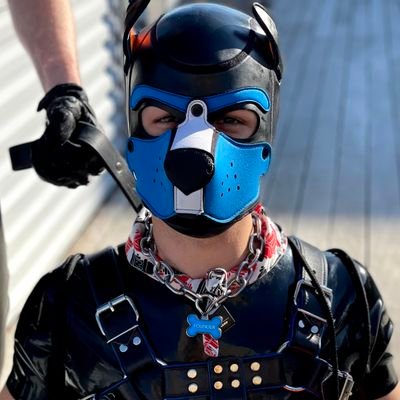 🐾 rubber puppy, soggy doggy, bound hound, cucky canine • demisexual & switchy • little, middle, & big • curator of vibes • enforcer of good times • 👍🐶🚫💦