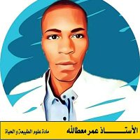 الأستاذ عمر معطاالله (@mrtaallh) 's Twitter Profile