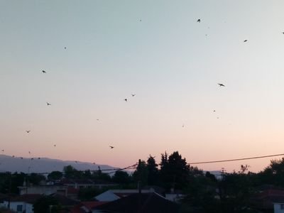 TTasiab's profile picture. 