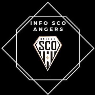 L’actualité d’Angers SCO en temps réel : Infos / Résultats / Mercato / Stats.