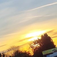 Elaine Scanlon (@elainescanlonlk) 's Twitter Profile Photo