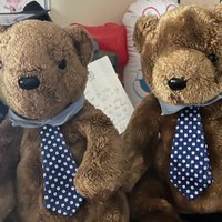 Paginated Report Bear and Mr Sparkles(@PaginatedBear) 's Twitter Profile Photo