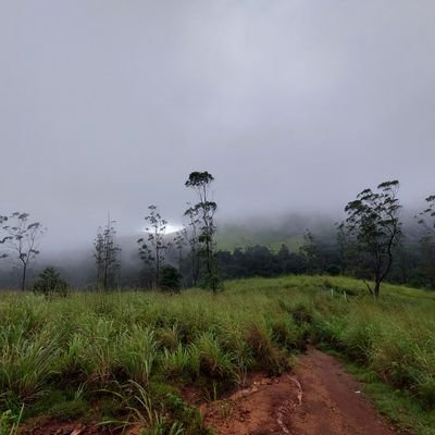 Aswin2306525's profile picture. 