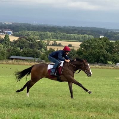 Racehorse Trainer based Nr York & Easingwold @ Eboracum Racing Stables also a #swfc fan