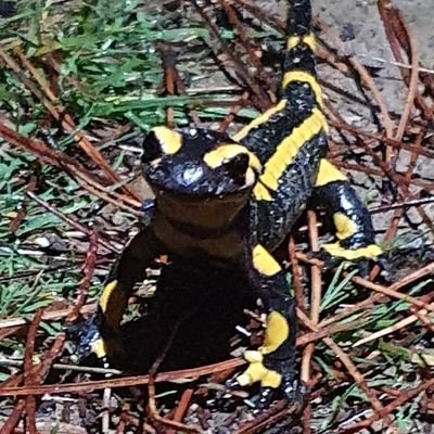 DurandEmmanue19's profile picture. 