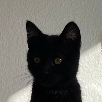 tanmandu00's profile picture. 🥟🔥🐈‍⬛  제조년월 2021년 7월