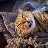 e (@e_over_under) 's Twitter Profile