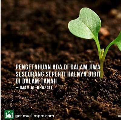 ramadhani_p2's profile picture. Asik