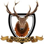 Riggmoorreindeer&Co (@riggmooreindeer) 's Twitter Profile