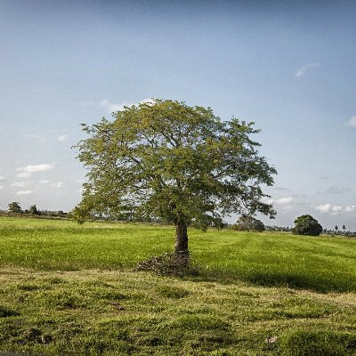 dcamom66's profile picture. Here