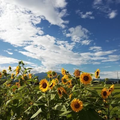 諸事情により再デビューです。でも以前となんらかわらずオシゴトがんばります😌