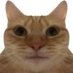 Miguel O'Hara (@migueloharacat) Twitter profile photo Miguel O'Hara (@migueloharacat) Twitter profile photo