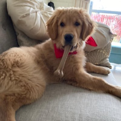 GretaPuq's profile picture. 