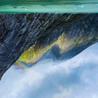 Danielle Singley (@dalyson1415) 's Twitter Profile