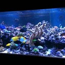 Andrew Sturdy - @andrewjsturdy - Twitter