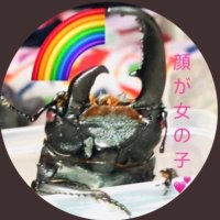パラワン顔だけメス (@x59hsyupcoei1v8) 's Twitter Profile