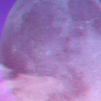 delusion/illusion (@sixtieswonder) 's Twitter Profile