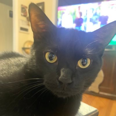 DMelo10's profile picture. Wife/Mom.