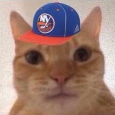 #isles #finsUp bi 18 if you block me you're a pussy there is no god