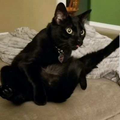 Sweetblkpussies's profile picture. follow if you please