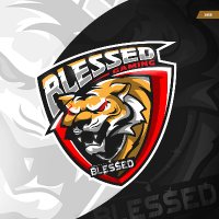 BLESSED GAMING (@blessedgaming69) 's Twitter Profile
