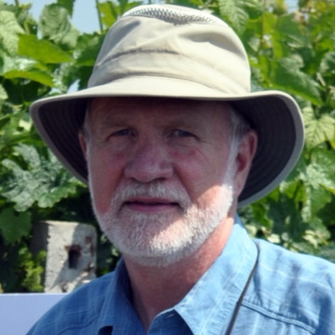 Senior Vice President, Americas and Oceania Group and Director of Research (RETIRED)
