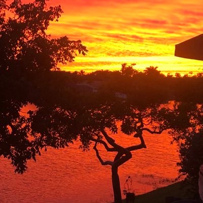 Sonnys30338116's profile picture. 