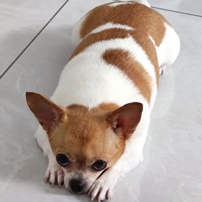 katelin08627731's profile picture. 生命在于运动