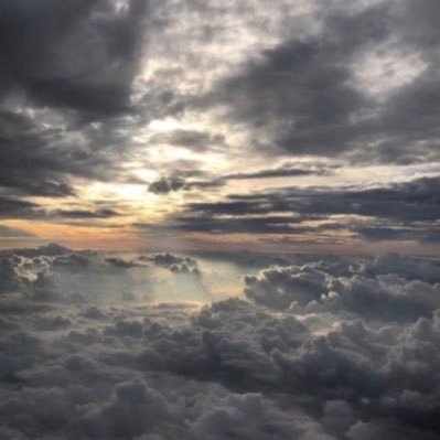 salhisam1's profile picture. 