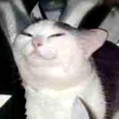 KristlLin's profile picture. 中文/ENG

banner by @/sad_istfried