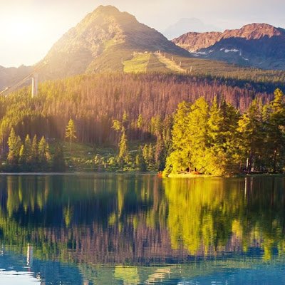 Adhamre31136224's profile picture. طالب