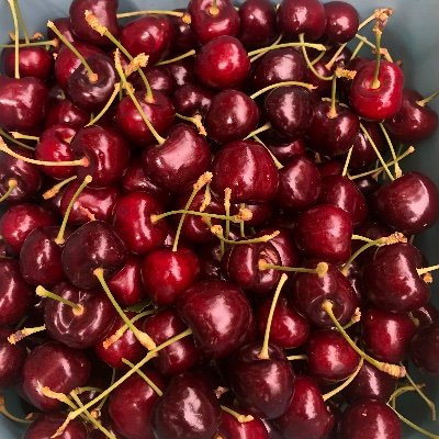 KelcieBaior's profile picture. 🌷🌻🥀