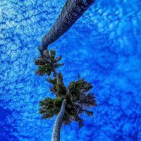 Fisayofocus despeed (@fisayofocus) 's Twitter Profile
