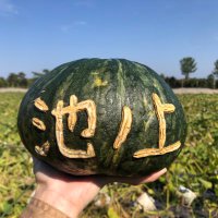 池ノ上里穂 (@rihonoue1104) Twitter profile photo