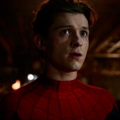 “You can’t be a Friendly Neighborhood Spider-Man if there’s no neighborhood.” (Mostly SFW RP Account, Author is 21, They/Them pronouns. Lewd + Minors DNI)
