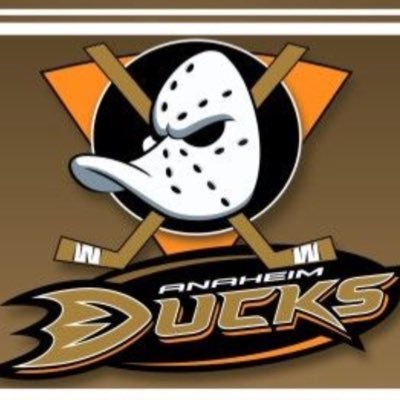 I’m a ducks fan play halo on my Xbox one I collect figures from the past present and future I like anime and watch power rangers series ducks rock