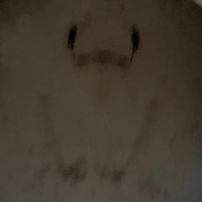 eyeshield21_to's profile picture. 京都