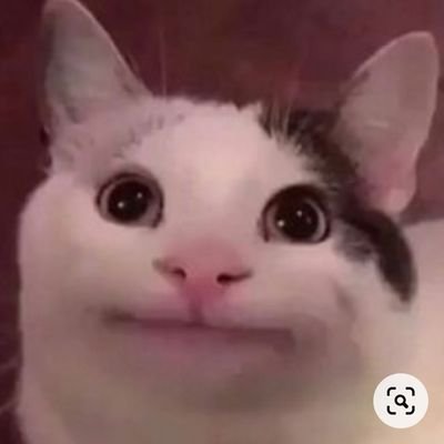 MDuyn36588060's profile picture. GoUta(五歌), Gojohime is my love forever ❤❤❤